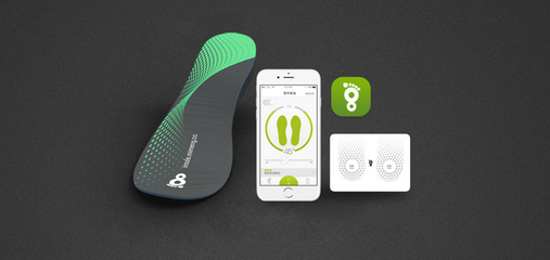 宁波微鹅电子科技 引领未来智能科技的创新力量